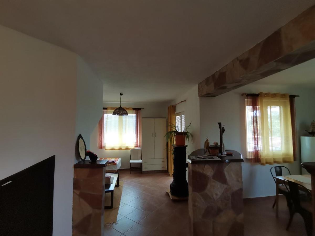 Apartments Vesna Nova Vas  Extérieur photo