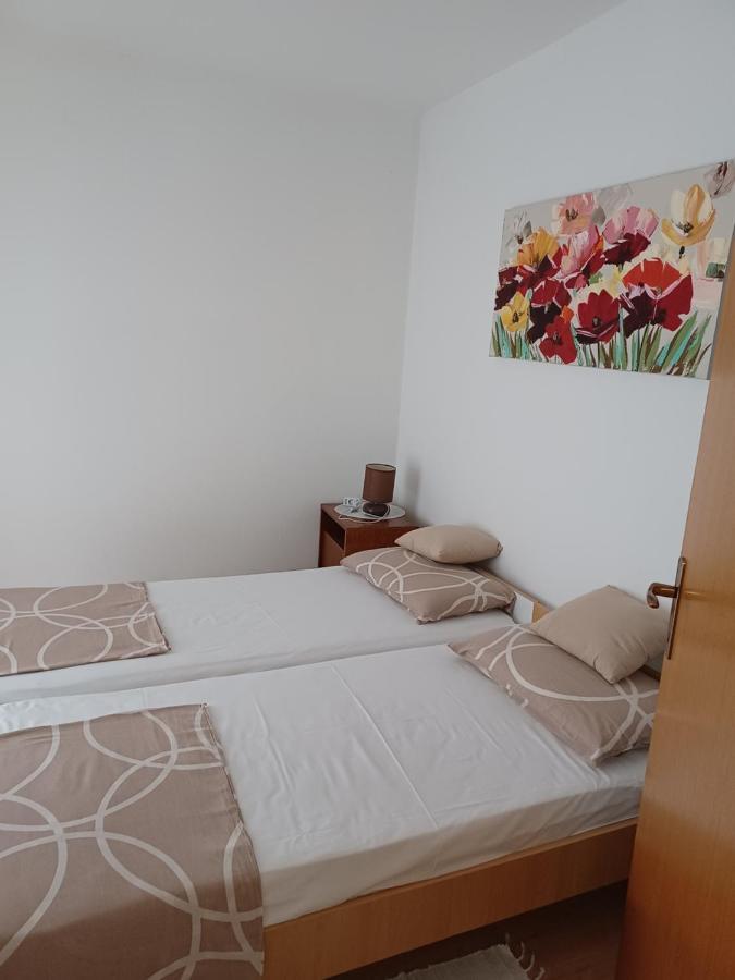 Apartments Vesna Nova Vas  Extérieur photo