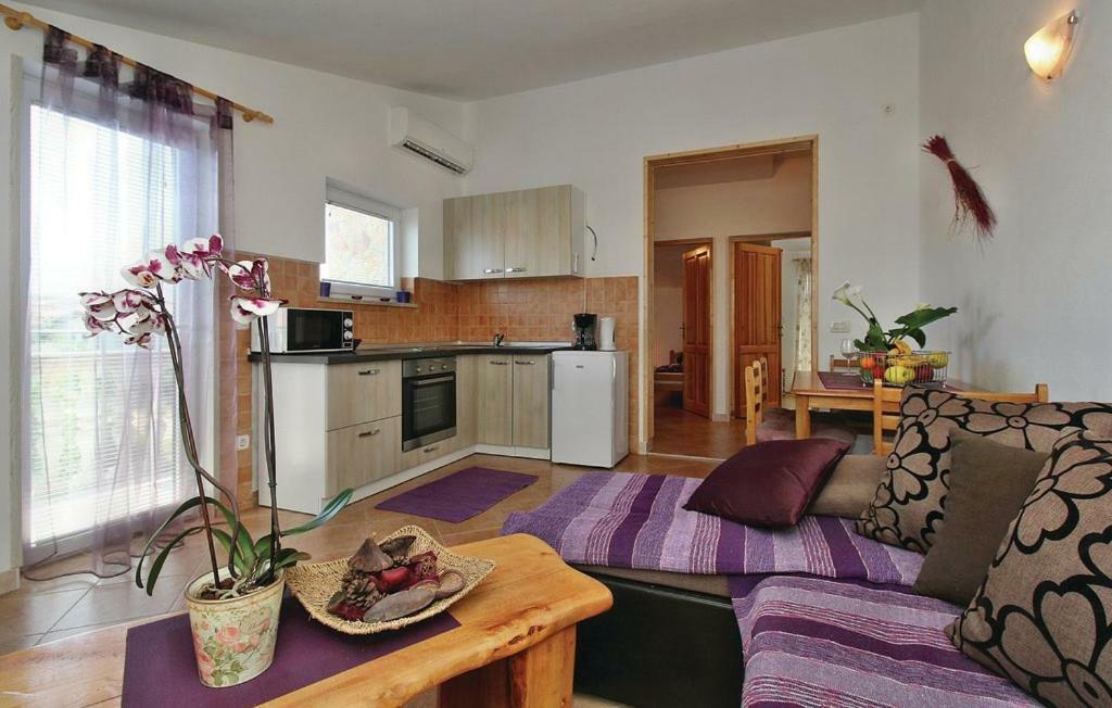Apartments Vesna Nova Vas  Extérieur photo